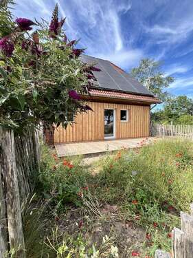 Foto - Wohnung zum Mieten in Dachtmissen-Reppenstedt 1.400,00 € 117.28 m²