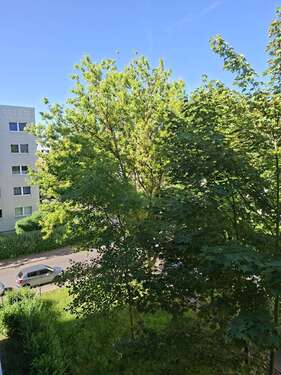 Foto - Wohnung zum Mieten in Magdeburg 347,48 € 49.93 m²