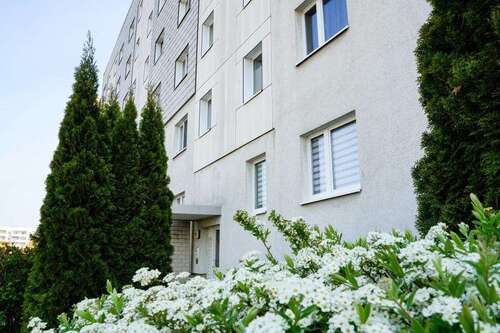 Foto - Wohnung zum Mieten in Magdeburg 315,00 € 48.25 m²