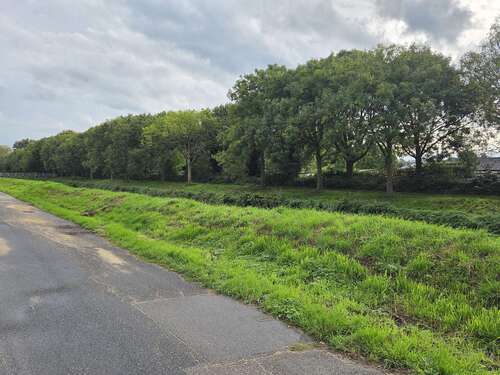 Foto - Grundstück zu verkaufen in Köln 680.000,00 € 997 m²