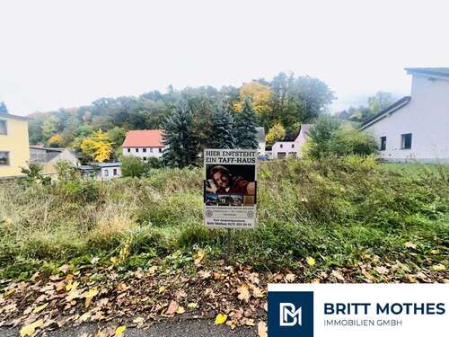Foto - Haus zum Kaufen in Nossen 450.000,00 € 138 m²