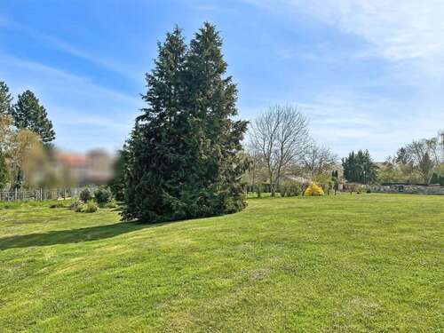 Foto - Grundstück zu verkaufen in Teuchern 48.174,00 € 1200 m²