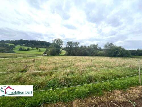 Foto - Grundstück zu verkaufen in Merzkirchen Körrig 225.000,00 € 4000 m²