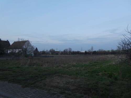 Foto - Grundstück zu verkaufen in Dannstadt-Schauernheim 410.000,00 € 850 m²