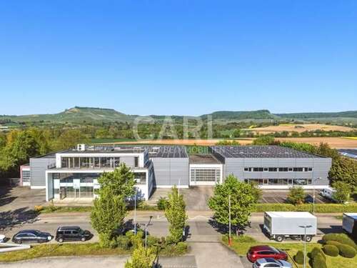 Foto - Büro in Erlenbach Binswangen 3.249.000,00 € 420 m²