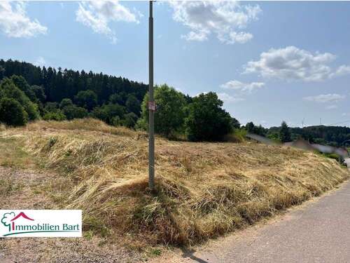 Foto - Grundstück zu verkaufen in Losheim am See Rimlingen 118.000,00 € 1100 m²