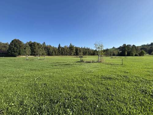 Foto - Grundstück zu verkaufen in Pfronten 522.000,00 € 927 m²
