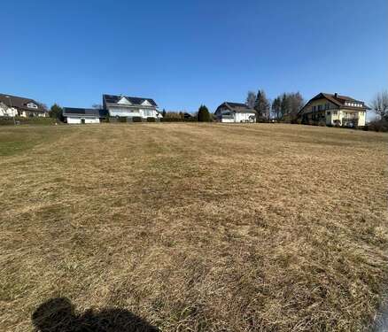 Foto - Grundstück zu verkaufen in Neuhof 525.000,00 € 3509 m²