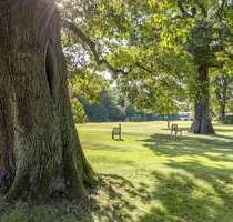 Wohnung zum Mieten in Hamburg 6.490,00 € 338 m²