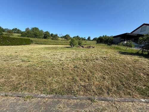 Foto - Grundstück zu verkaufen in Notzingen 850.000,00 € 1247 m²