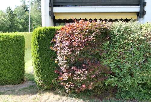 Foto - Wohnung zum Kaufen in Bad Tölz 295.000,00 € 58.88 m²