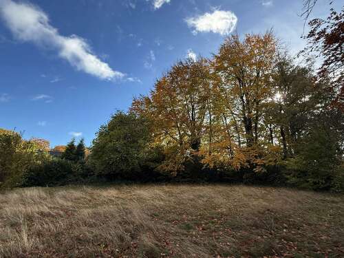 Foto - Grundstück zu verkaufen in Roetgen 460.000,00 € 1561 m²