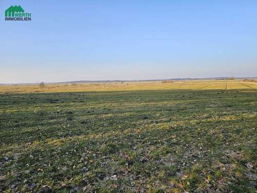 Foto - Spezialgewerbe in Windbergen 38.500,00 € 22897 m²