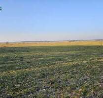 Spezialgewerbe in Windbergen 38.500,00 € 22897 m²