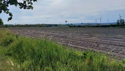 Foto - Grundstück in Elsdorf 78.000,00 € 1000 m²