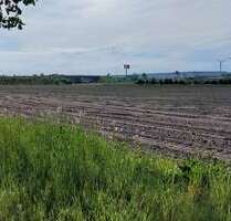 Grundstück in Elsdorf 78.000,00 € 1000 m²