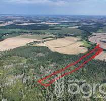 Grundstück in Doberschau-Gaußig Dretschen 39.900,00 € 65130 m² - Doberschau-Gaußig / Dretschen