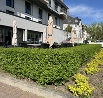 Wohnung zum Kaufen in Mainz 144.500,00 € 21 m²