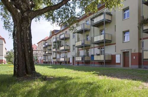 Foto - Wohnung zum Mieten in Dresden 490,00 € 58.15 m²