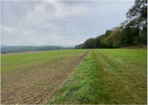 Foto - Grundstück zu verkaufen in Idstein 53.500,00 € 6757 m²