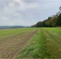 Grundstück zu verkaufen in Idstein 53.500,00 € 6757 m²