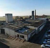 Halle in Erwitte 869.000,00 € 8273 m²