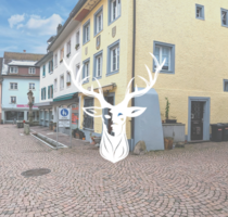 Haus zum Kaufen in Waldshut-Tiengen 350.000,00 € 180 m²