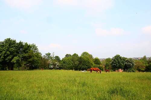 Foto - Wohnung zum Mieten in Helbra 249,00 € 44.67 m²