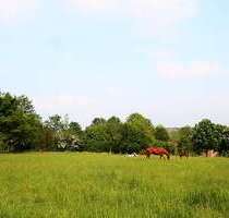 Wohnung zum Mieten in Helbra 249,00 € 44.67 m²