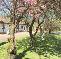 Wohnen auf Zeit in Merzig 1.600,00 €