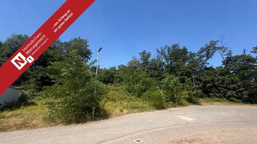Foto - Grundstück zu verkaufen in Kaiserslautern 550.000,00 € 1476 m²