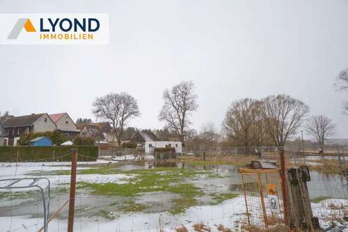 Foto - Grundstück zu verkaufen in Hasselfelde 16.000,00 € 1010 m²