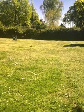 Foto - Grundstück zu verkaufen in Schulzendorf 139.999,00 € 420 m²