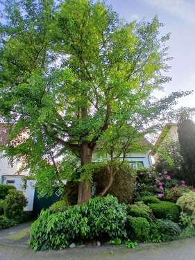 Foto - Haus zum Kaufen in Bergisch Gladbach 719.000,00 € 152 m²