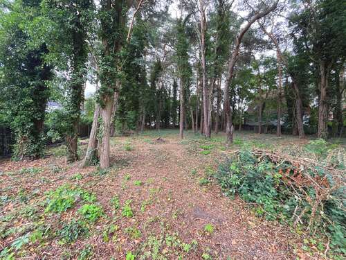 Foto - Grundstück zu verkaufen in Königs Wusterhausen - Zernsdorf 221.900,00 € 634 m²