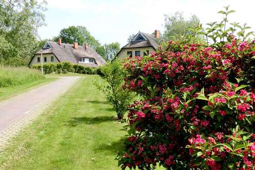 Foto - Wohnung zum Kaufen in Poseritz 329.000,00 € 81 m²