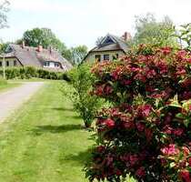 Wohnung zum Kaufen in Poseritz 329.000,00 € 81 m²