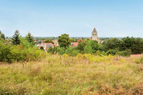 Foto - Grundstück zu verkaufen in Wriezen 69.000,00 € 1200 m²