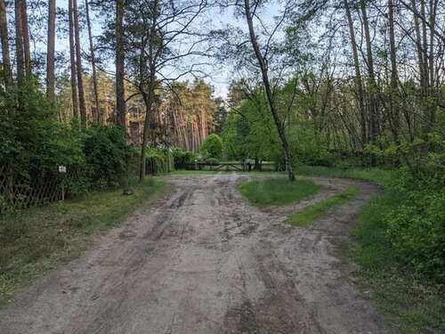 Foto - Grundstück zu verkaufen in Borkwalde 53.000,00 € 1002 m²