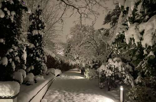 Foto - Haus zum Kaufen in Hamburg 3.980.000,00 € 260 m²