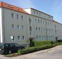 Wohnung zum Mieten in Greifswald 538,62 € 78.22 m²
