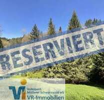 Grundstück in Triberg 195.000,00 € 160908 m²