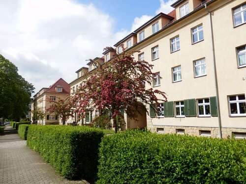 Foto - Wohnung zum Mieten in Dresden 563,00 € 74 m²