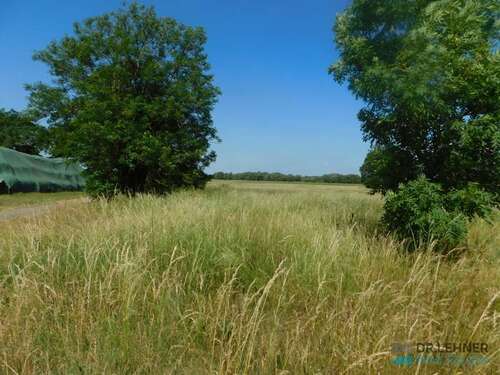 Foto - Grundstück zu verkaufen in Lanz Bernheide 29.000,00 € 4185 m²