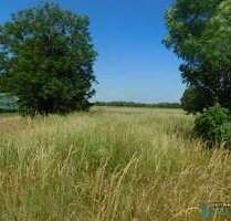 Grundstück zu verkaufen in Lanz Bernheide 29.000,00 € 4185 m² - Lanz / Bernheide