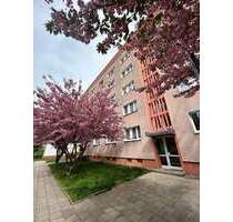Wohnung zum Mieten in Dessau-Roßlau 225,00 € 24.5 m²