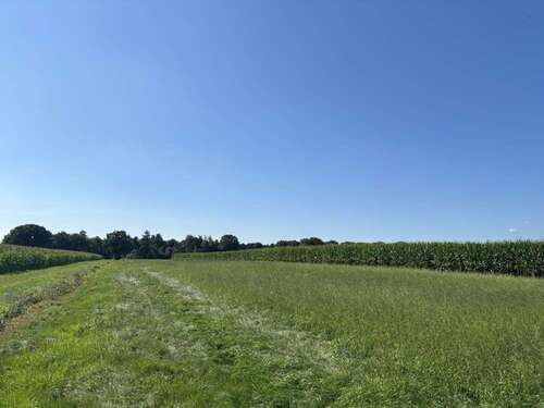 Foto - Grundstück in Edewecht 270.000,00 € 66754 m²