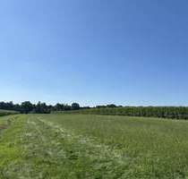 Grundstück in Edewecht 298.000,00 € 66754 m²