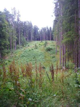 Foto - Grundstück in Pfeffenhausen-Baldershausen 63.500,00 € 9780 m²