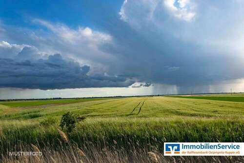 Foto - Grundstück in Neuruppin 116.130,00 € 70152 m²